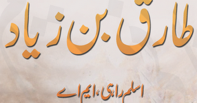 Tariq Bin Ziyad Pdf